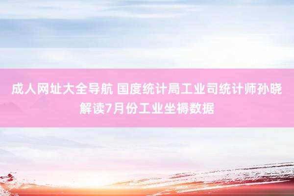成人网址大全导航 国度统计局工业司统计师孙晓解读7月份工业坐褥数据