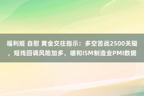 福利姬 自慰 黄金交往指示：多空苦战2500关隘，短线回调风险加多，缓和ISM制造业PMI数据