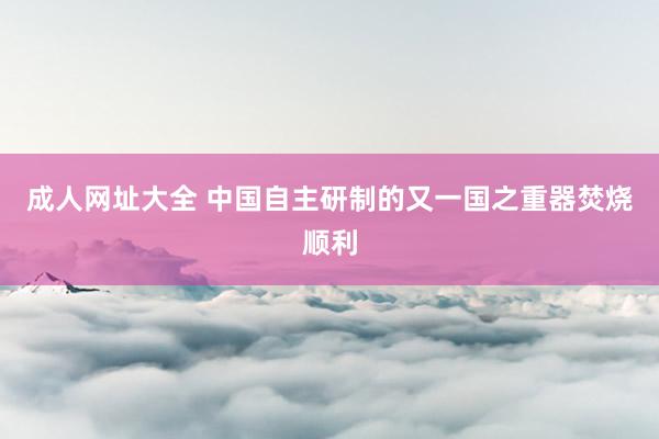 成人网址大全 中国自主研制的又一国之重器焚烧顺利