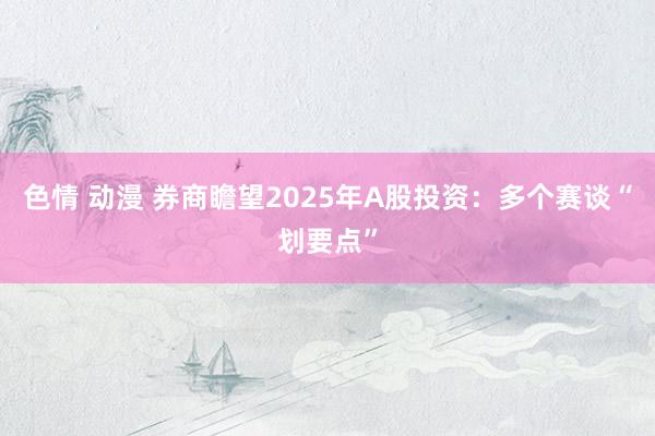 色情 动漫 券商瞻望2025年A股投资：多个赛谈“划要点”
