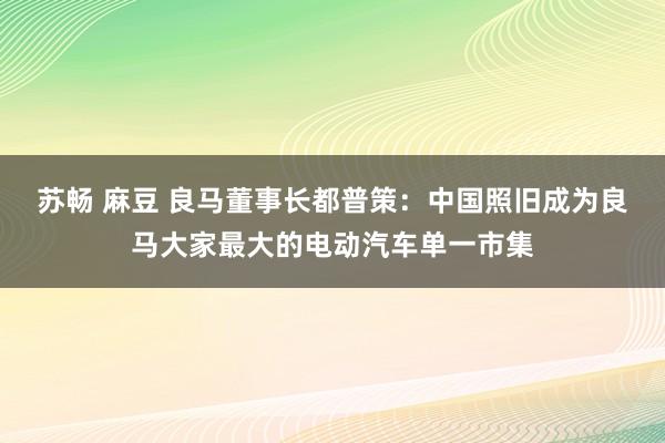苏畅 麻豆 良马董事长都普策：中国照旧成为良马大家最大的电动汽车单一市集