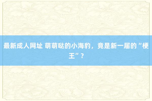 最新成人网址 萌萌哒的小海豹，竟是新一届的“梗王”？
