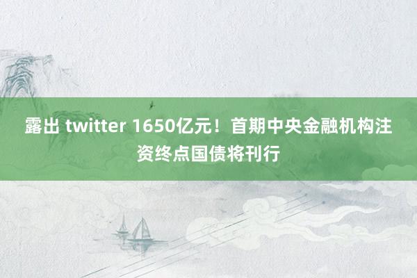 露出 twitter 1650亿元！首期中央金融机构注资终点国债将刊行