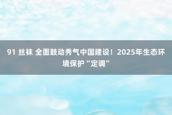 91 丝袜 全面鼓动秀气中国建设！2025年生态环境保护“定调”