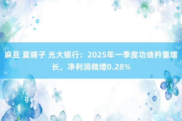 麻豆 夏晴子 光大银行：2025年一季度功绩矜重增长，净利润微增0.28%