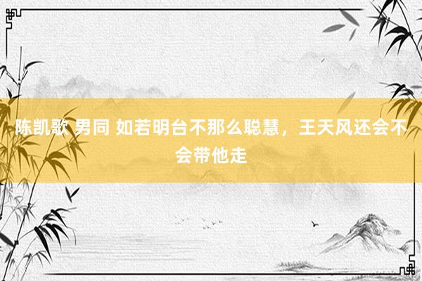 陈凯歌 男同 如若明台不那么聪慧，王天风还会不会带他走