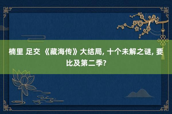 楠里 足交 《藏海传》大结局， 十个未解之谜， 要比及第二季?